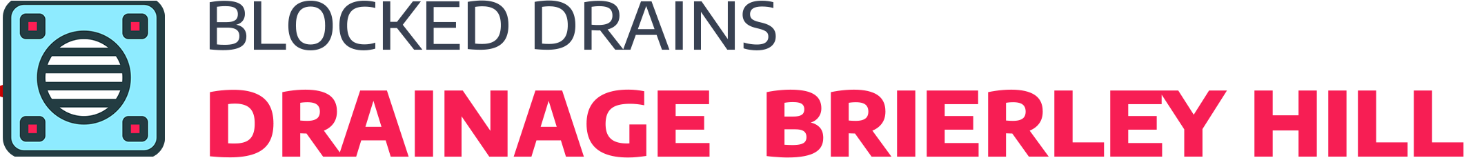 website logo
